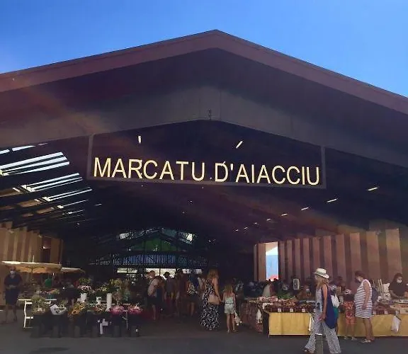 Vue Et Golfe Ajaccio (Corsica)